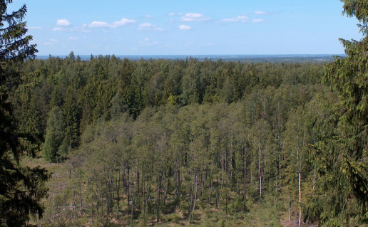 25_Vaizdas nuo Mikytu alkakalnio. Nuotr. is ZNPD arch.jpg